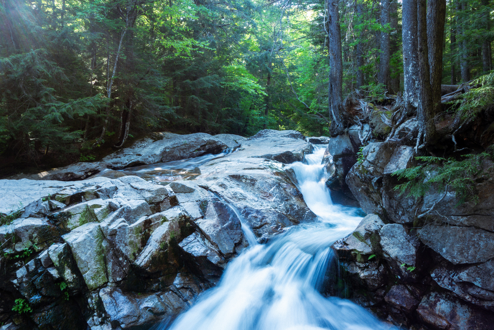 Shutter Speed Shutter Speed